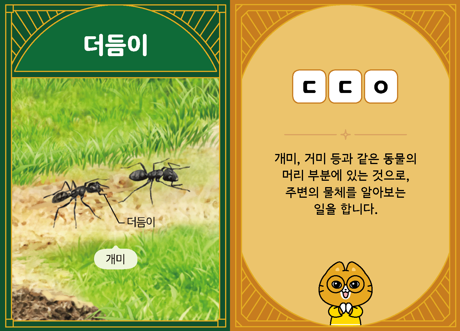 과학3-1-10-더듬이