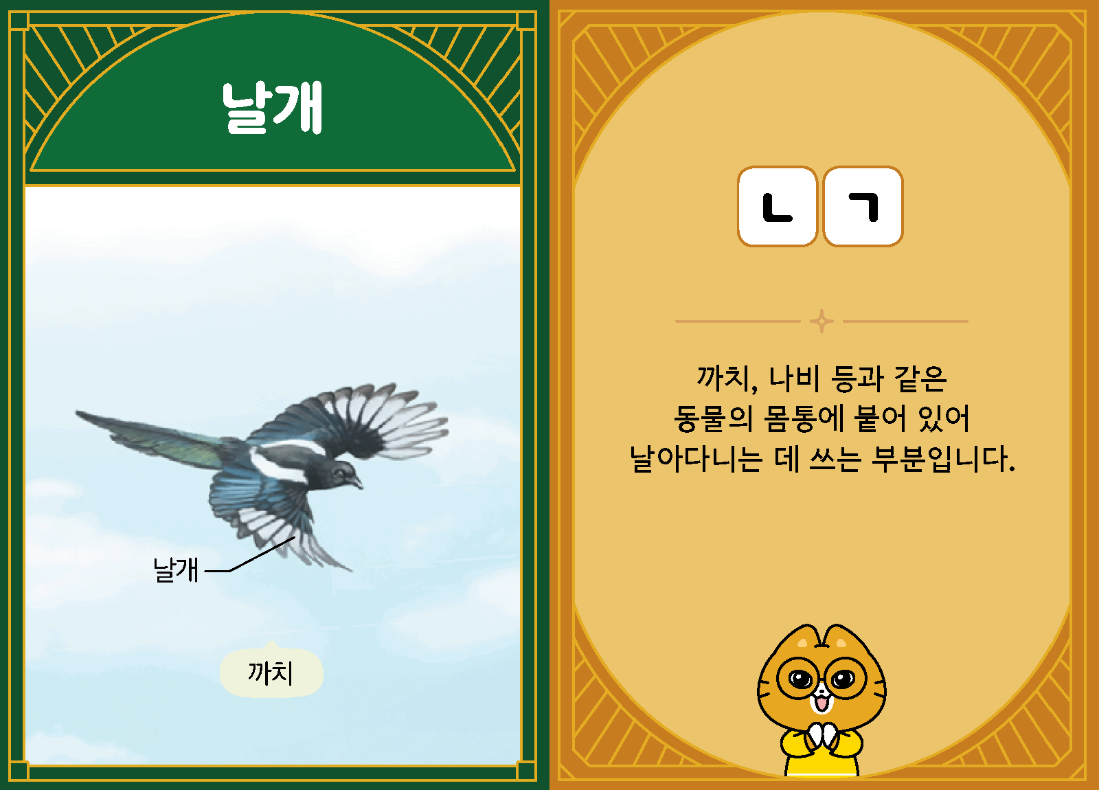 과학3-1-12-날개