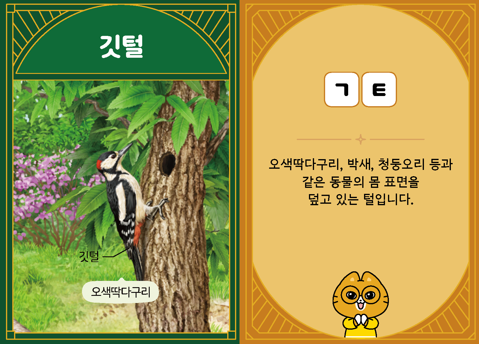 과학3-1-13-깃털