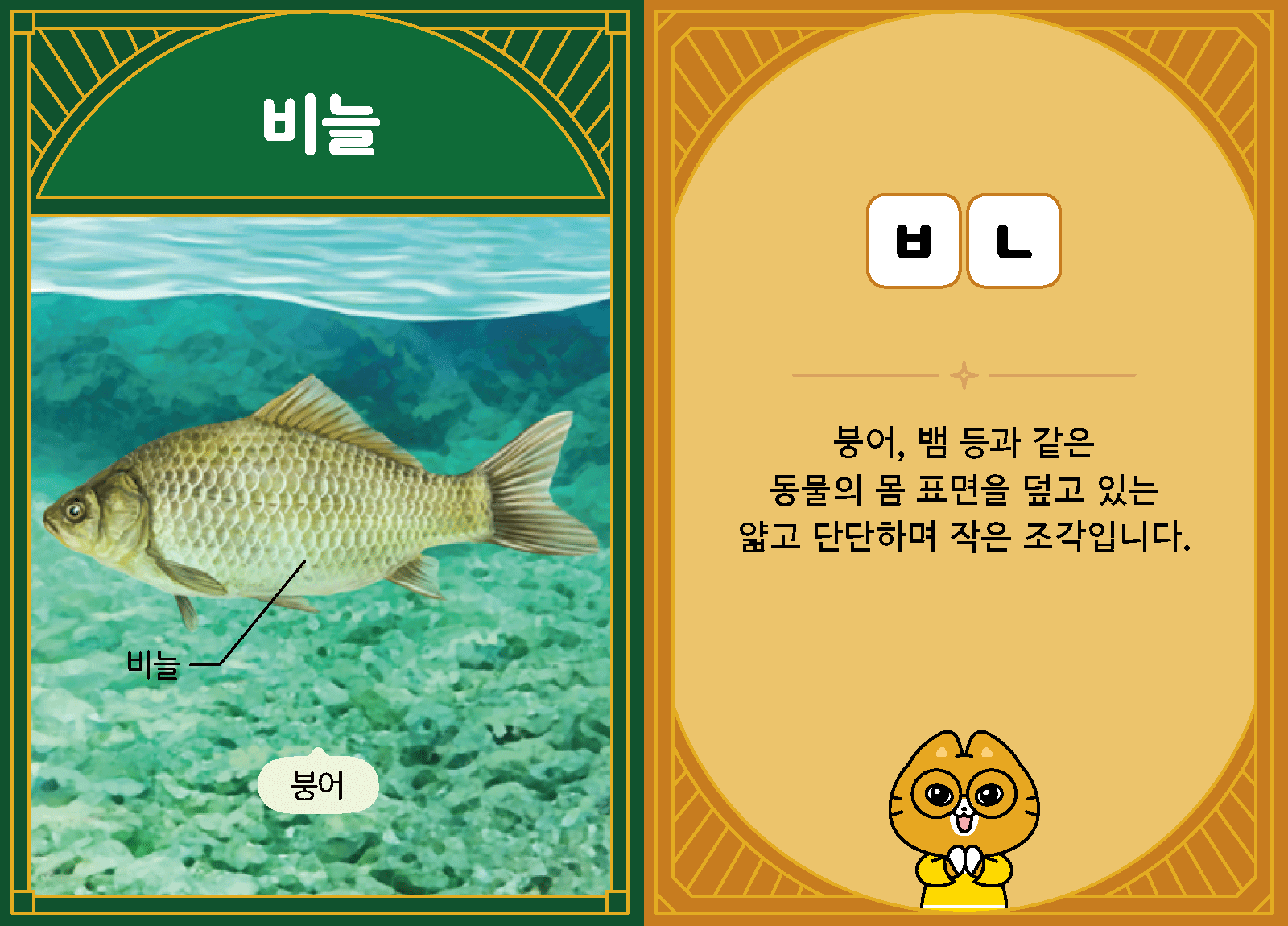 과학3-1-15-비늘