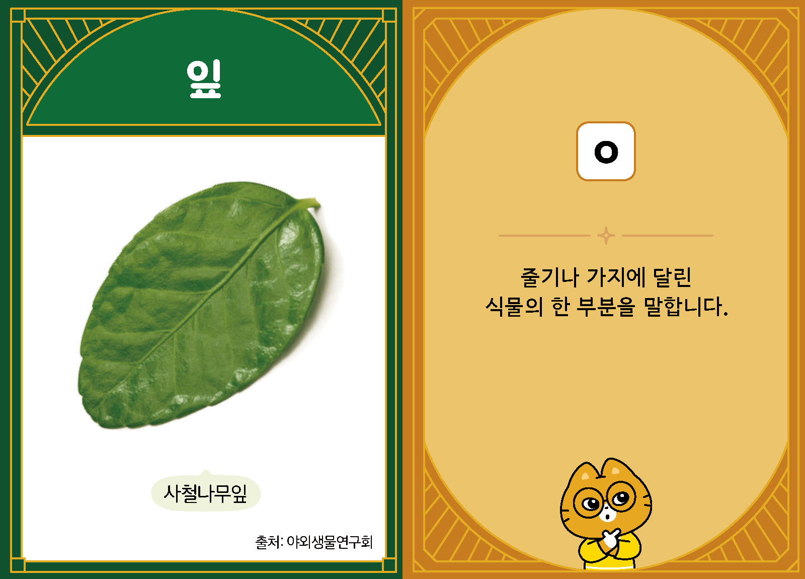 과학3-1-17-잎