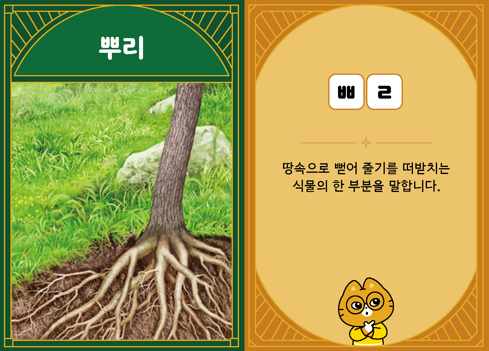 과학3-1-19-뿌리