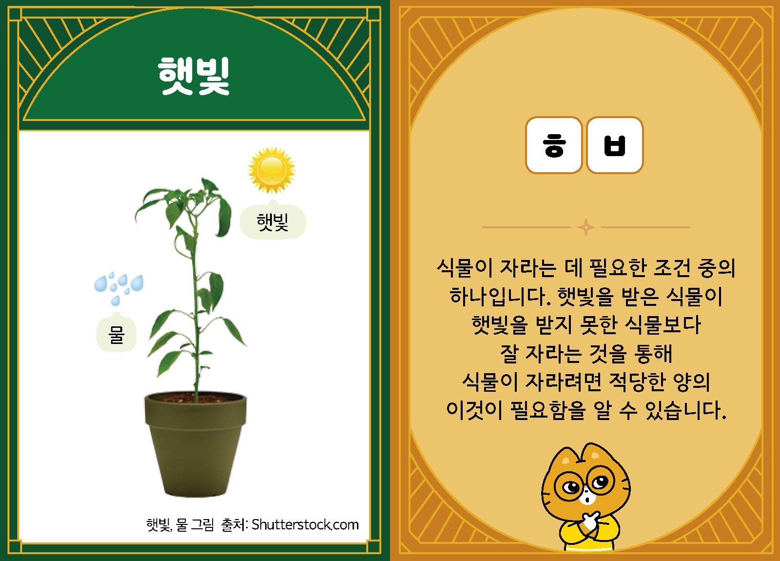 과학3-1-30-햇빛