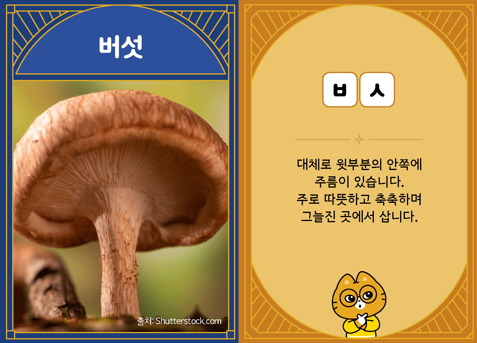 과학4-1-25-버섯