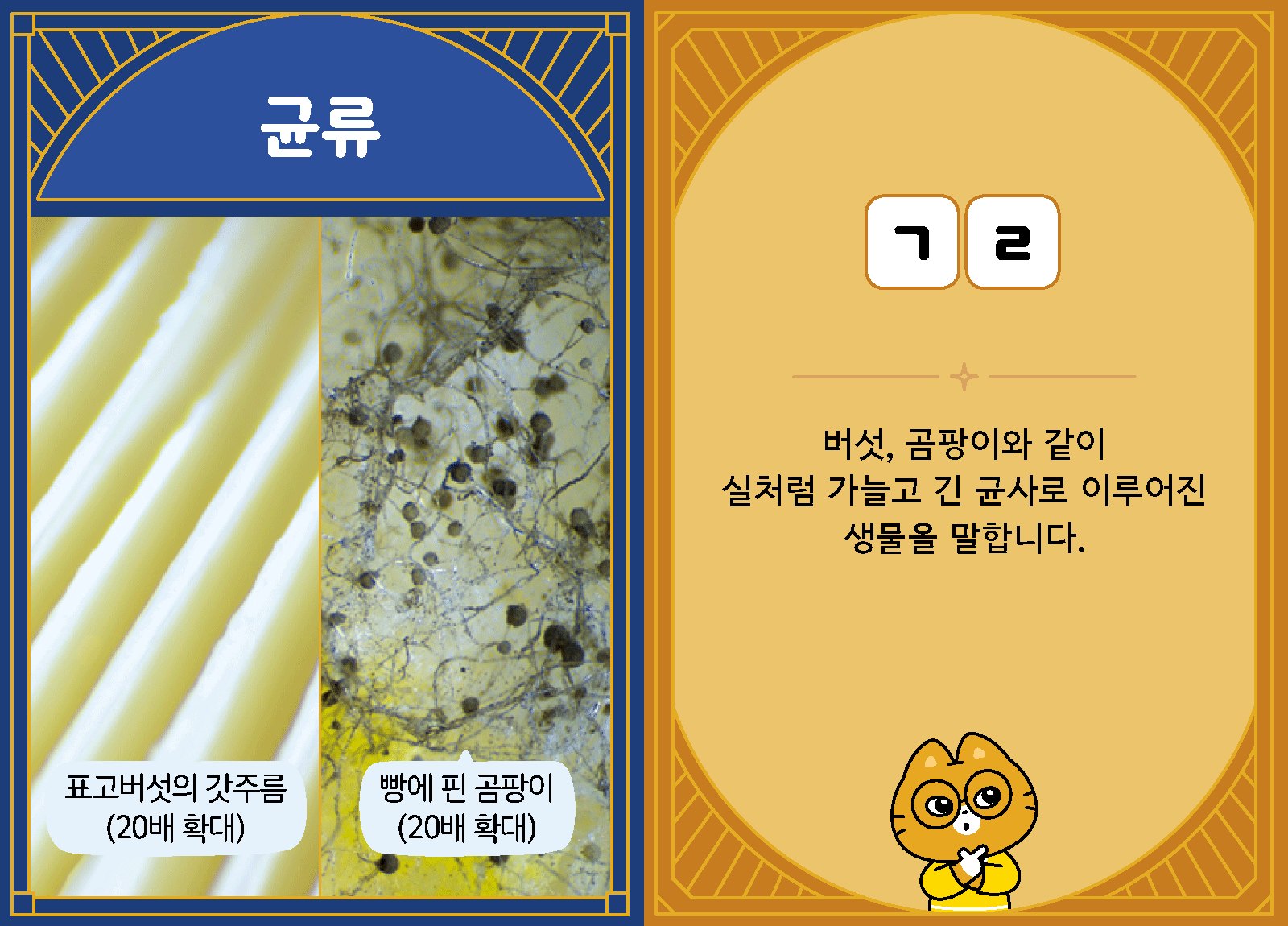 과학4-1-27-균류
