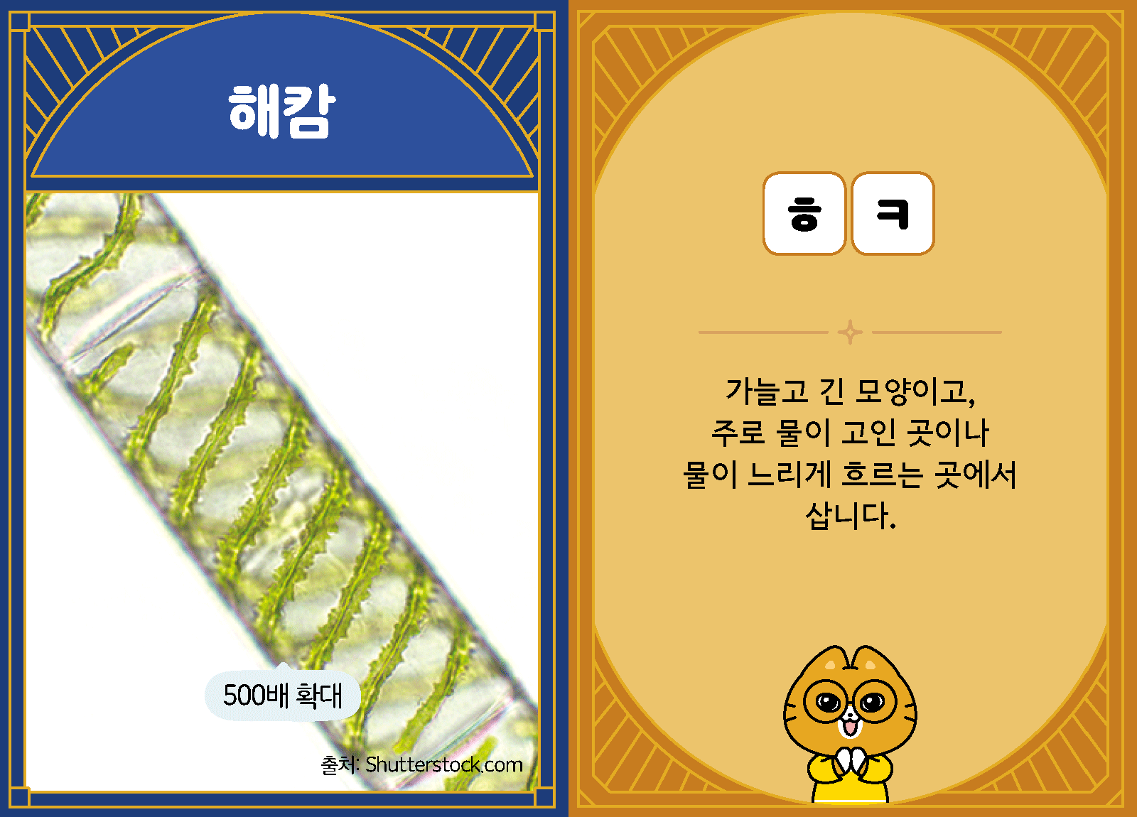 과학4-1-28-해캄
