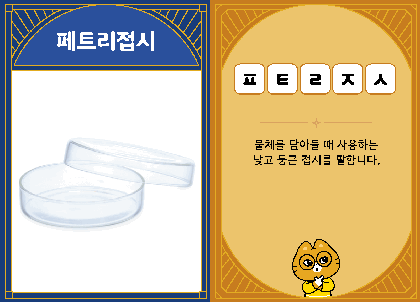 과학4-2-33-페트리접시
