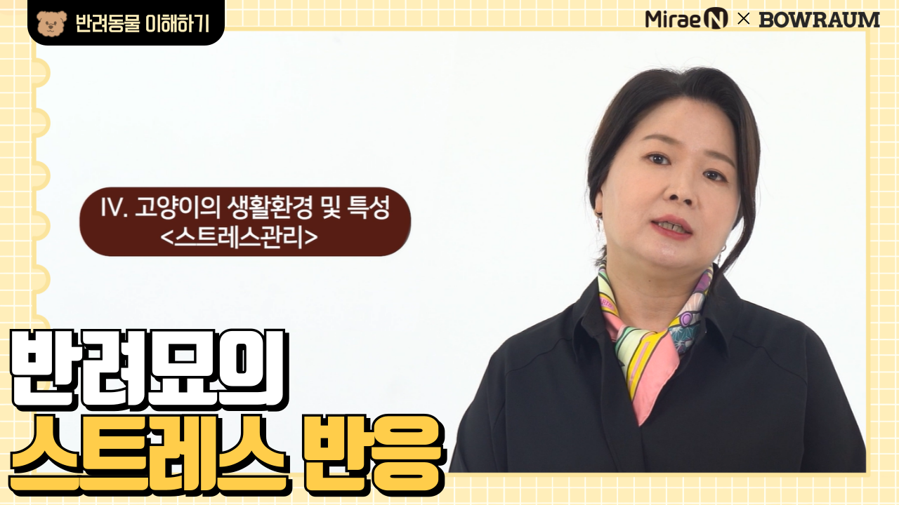 반려묘의 스트레스 반응
