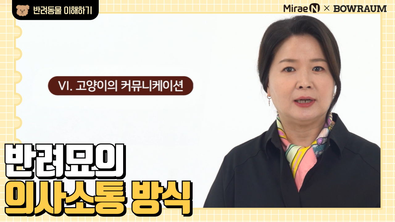 반려묘의 의사소통 방식
