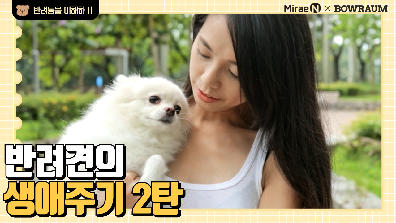 반려견의 생애주기 2탄
